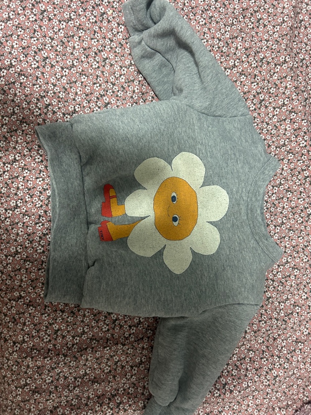 Tiny cottons Gray Kids Sweatshirt with Sunny Daisy Graphic 2t